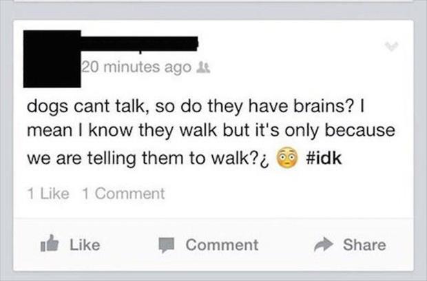 dumb people on facebook (5)