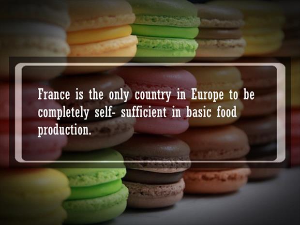 food facts (21)