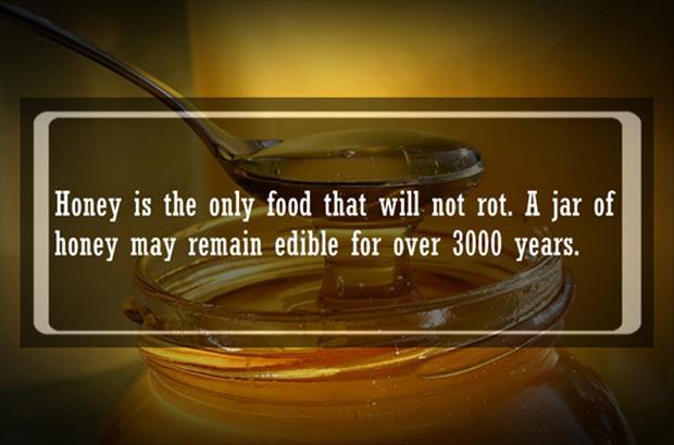 food facts (7)