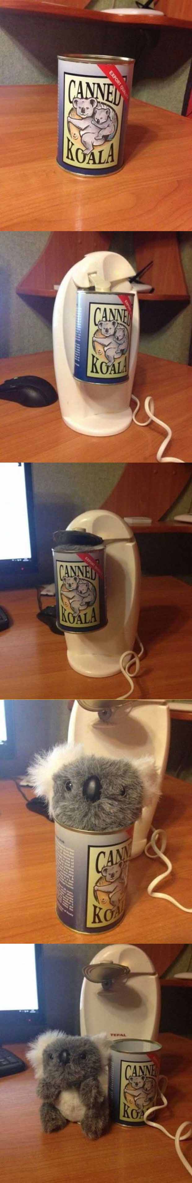funny-canned-Koala-bear-toy