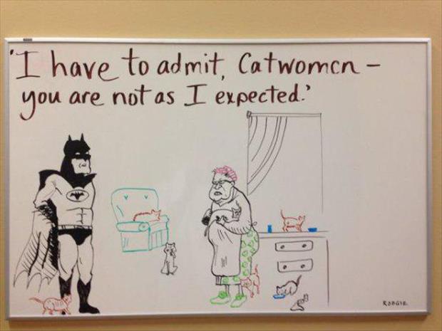 funny cat woman