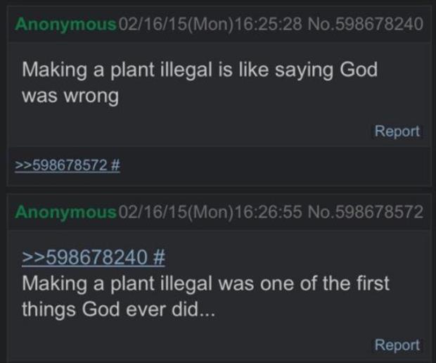 funny plants