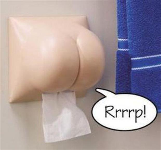 funny toilet paper (6)
