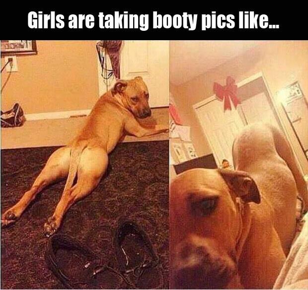 girls be taking booty pics - Copy