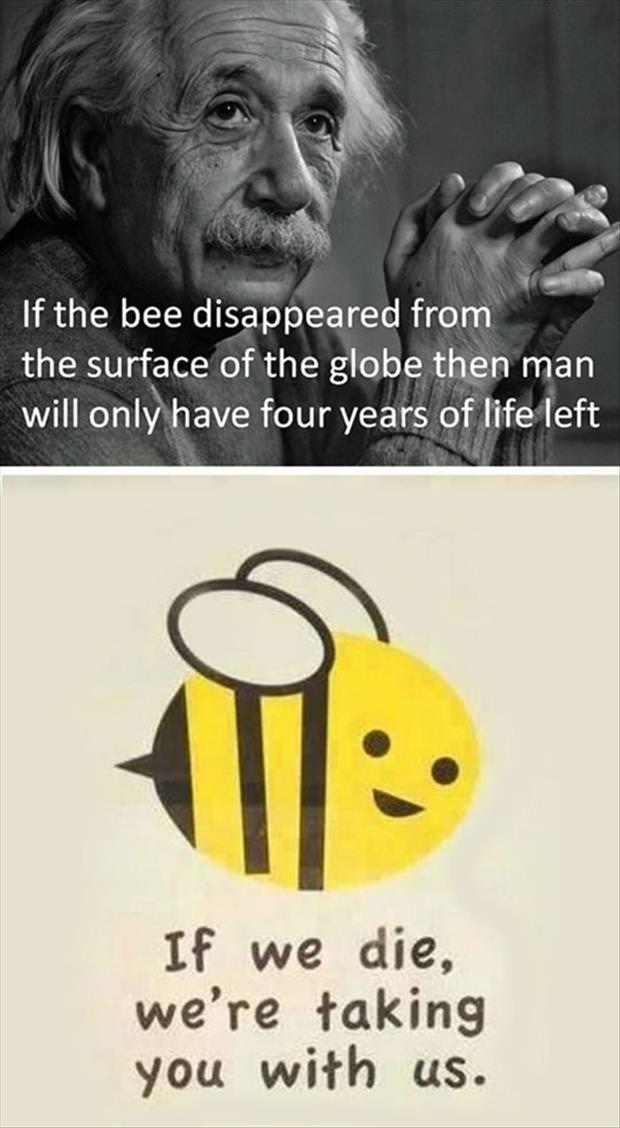 if bees die