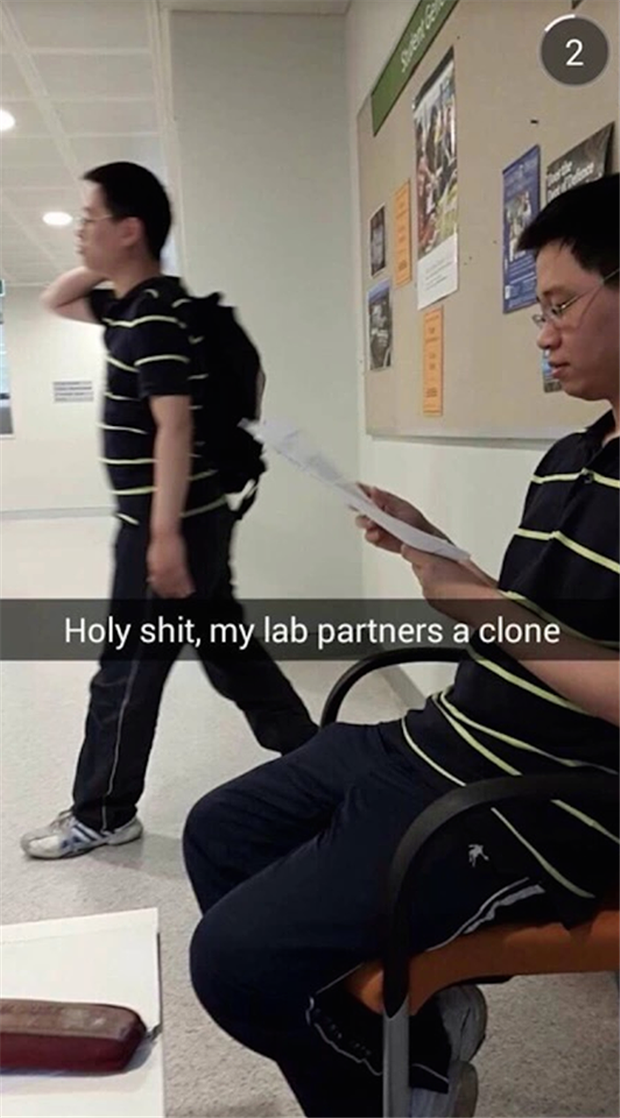 lab partner