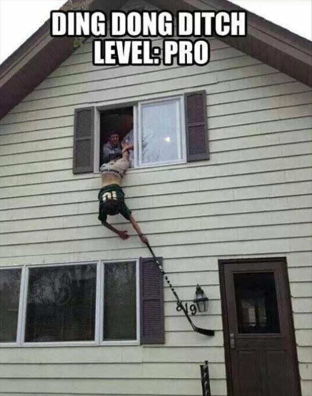 level pro