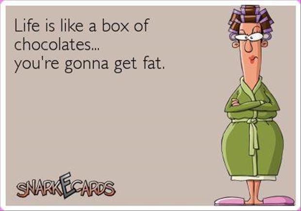 life is like a box of chocolates