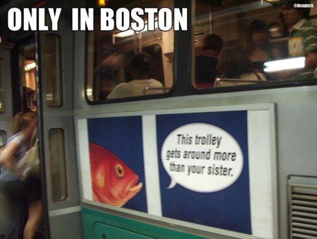 meanwhile in boston