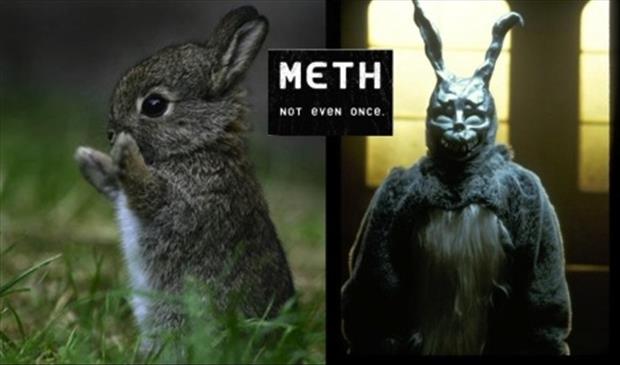 meth, not even once (7)
