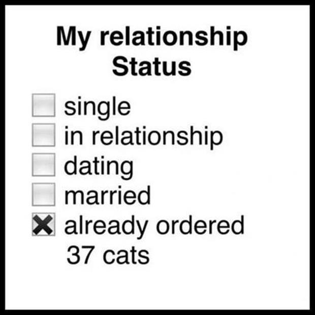my-relationship-status.jpg