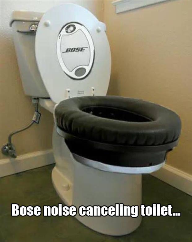 noise canceling toilet