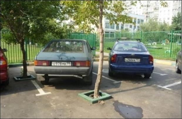 parking (7)