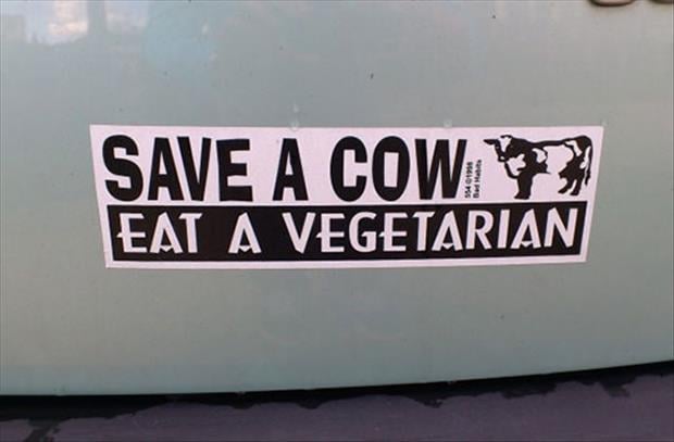 save a cow