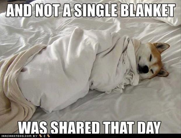 sharing-your-blanket.jpg