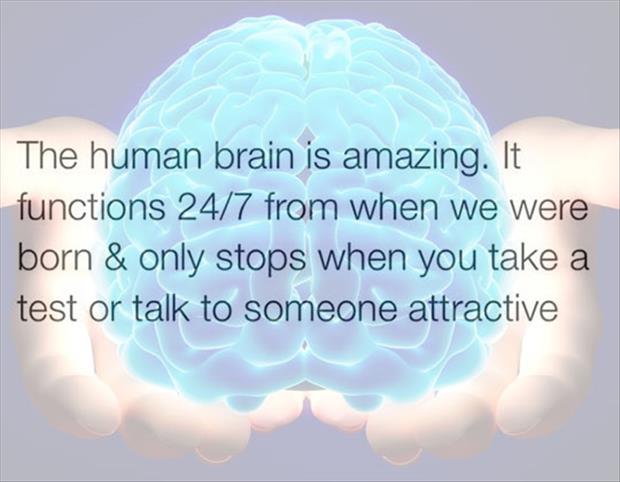 the brain is amazing