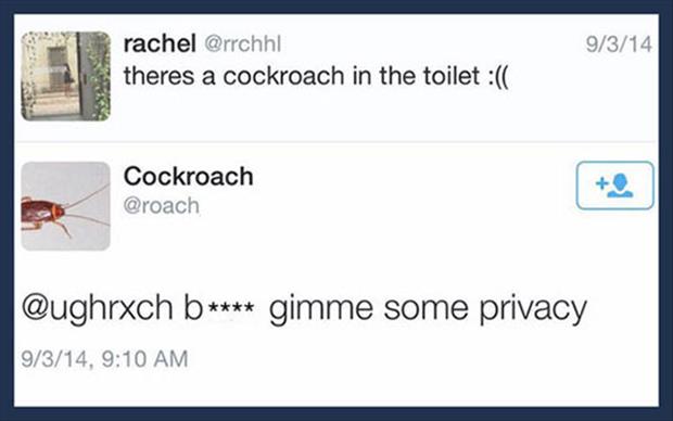 there is a cochroach
