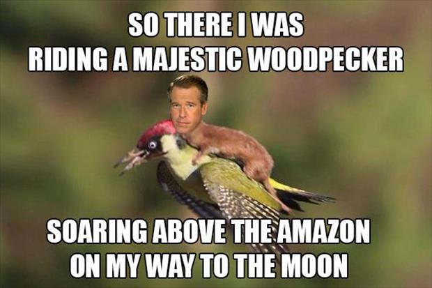 weasel riding a woodpecker meme (10)