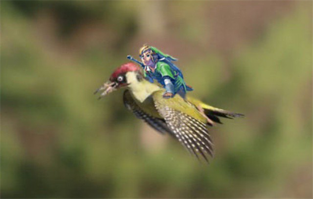 weasel riding a woodpecker meme (6)