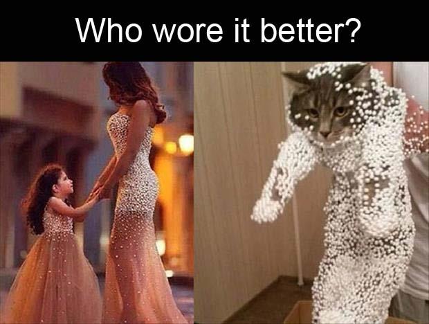 who-wore-it-better.jpg