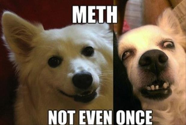 z meth, not even once (1)