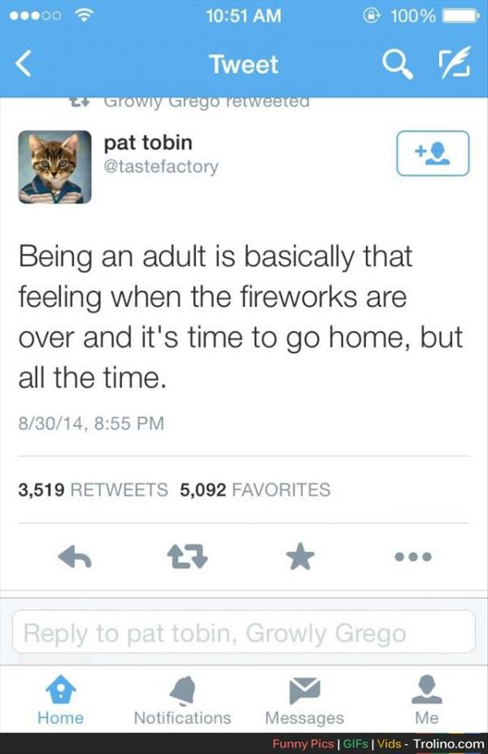 being an adult