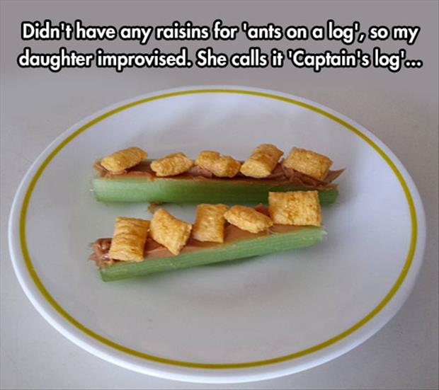 captain's log