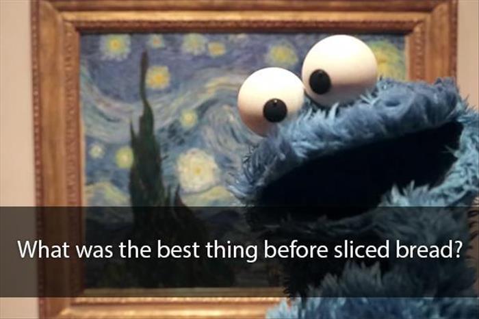 cookie monster (4)