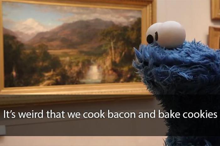 cookie monster (7)