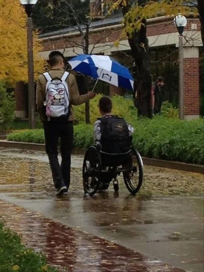faith in humanity restored (10)