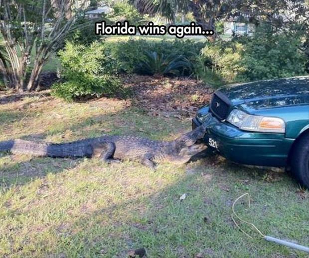 florida wins again