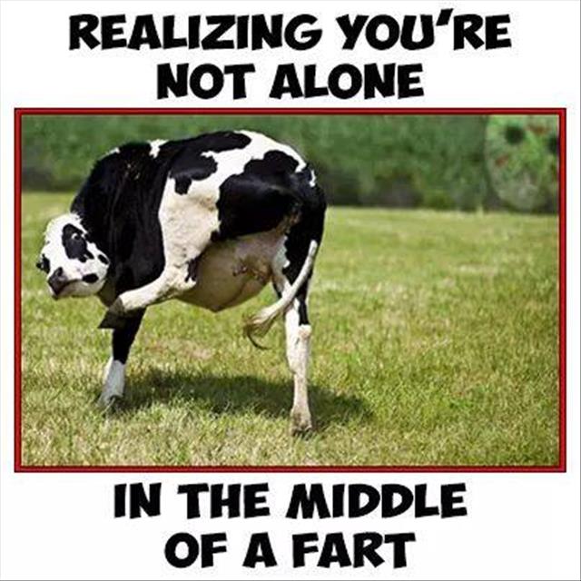 funny farts