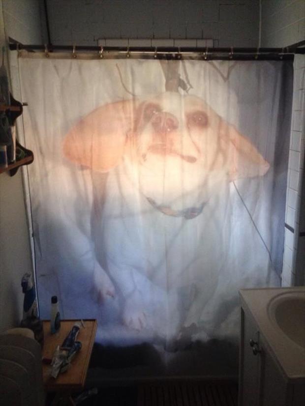 funny shower curtains (1)