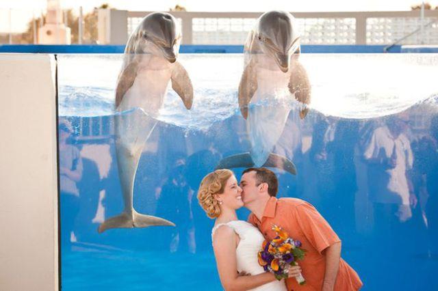 funny wedding photobombs (11)