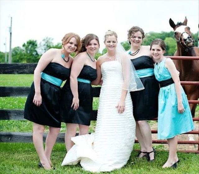 funny wedding photobombs (16)