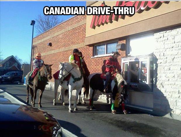meanwhile in canada (21)
