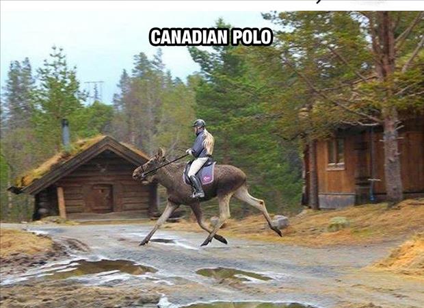 meanwhile in canada (4)