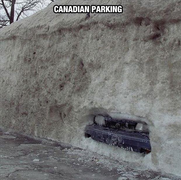 meanwhile in canada (5)