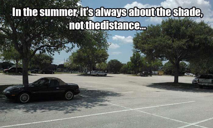 parking in the summer is all about the shade not the distance