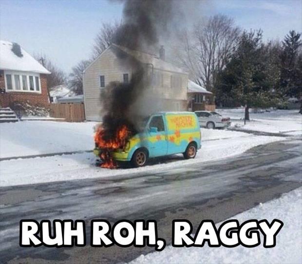 scooby doo