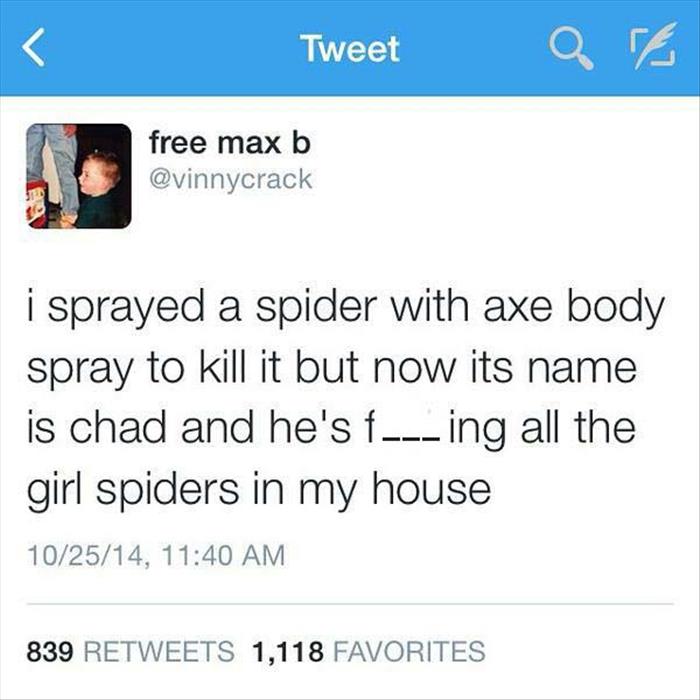 sprayed a spider