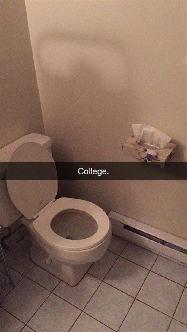 the college life