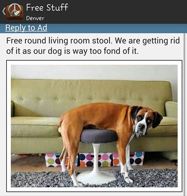 the free stool