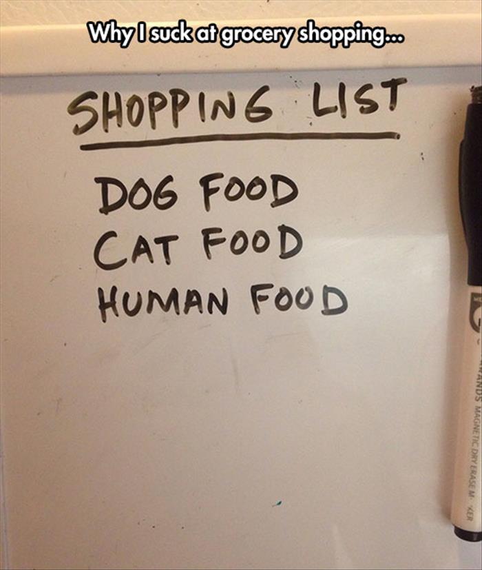 the grocery list