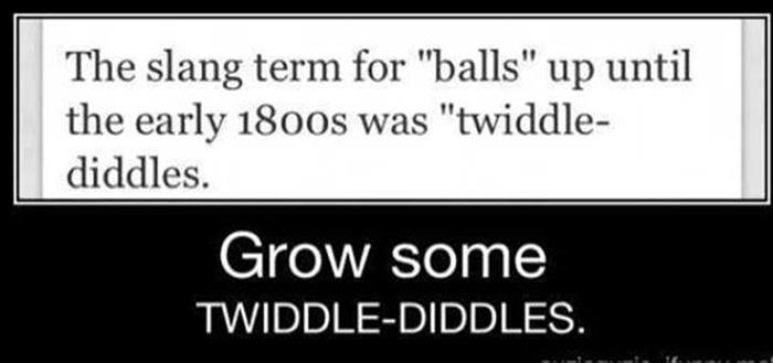 twiddle diddles