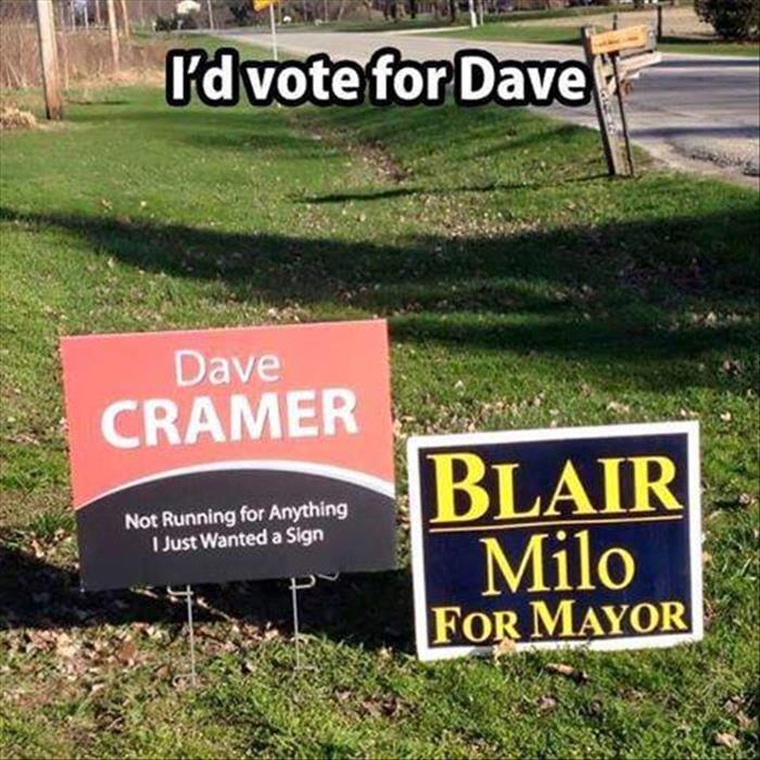 vote for dave