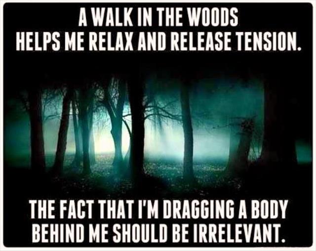 walk in the woods