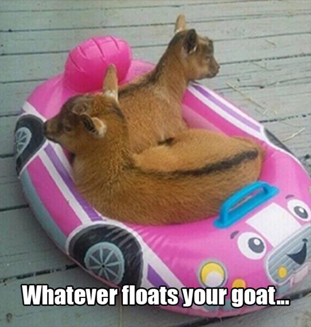 whatever floats your goat