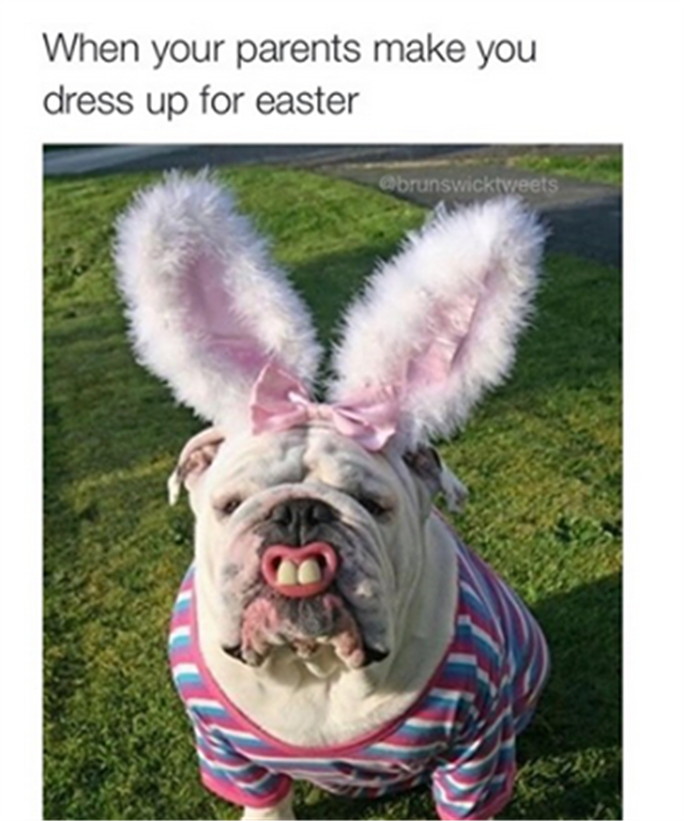 when your parents make you dress up for easter