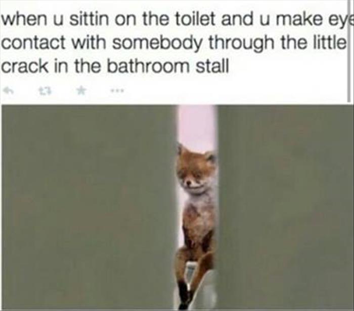 when you're sitting on the toilet